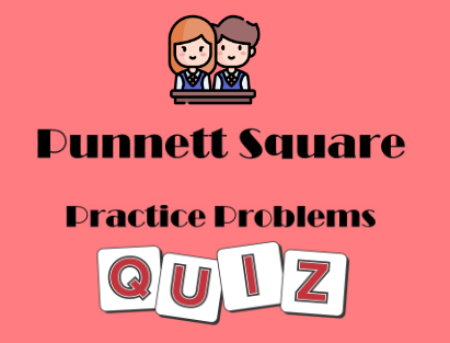 Punnett Square Practice for Genetic Outcomes